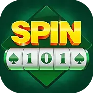 Image for Spin 101