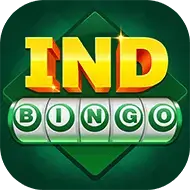 Image for IND BINGO 