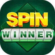 Image for SPIN WINNER