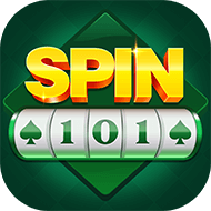 Image for SPIN 101